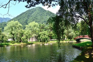 新潟県 湯沢中央公園 池