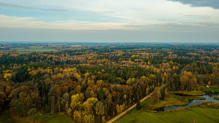 Fototapeta na wymiar autumn view in Latvia forest