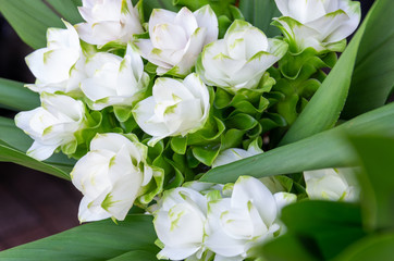 Obraz na płótnie Canvas Flower bouquet of white lisianthus (eustoma) - close up - selected focus - text space