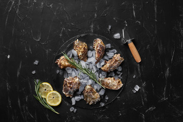 Fresh closed oysters, ice and lemon on a round slate, black stone textured background. Top view with copy space. Close-up shot.
