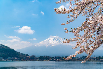 Mt. Fuji and cherry blossoms. Japanese spring landscape looking over the lake Kawaguchi at Yamanashi pref in Japan.