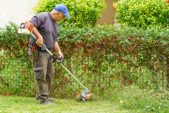 Professional gardener using an edge trimmer in the city parck. Elderly man worker mowing lawn with grass trimmer outdoors on sunny day.  