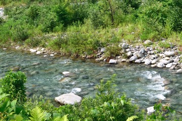 新潟県魚野川 澄んだ川