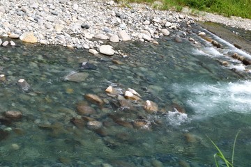 新潟県魚野川 澄んだ川