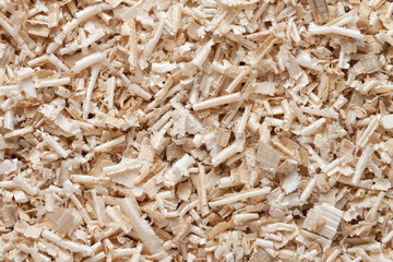 Wooden sawdust background. Wood dust texture. Top view.