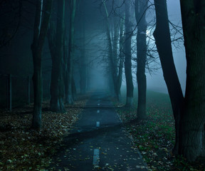 The foggy asphalt road between trees in the night