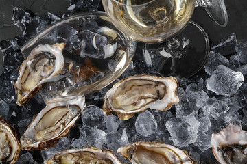 Fresh opened oysters in ice on a black stone textured background. Top view. Close-up shot.