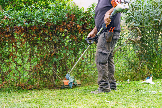 Professional gardener using an edge trimmer in the city parck. Elderly man worker mowing lawn with grass trimmer outdoors on sunny day.