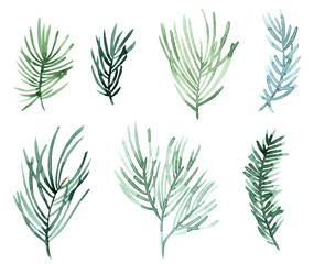 Watercolor Christmas trees. Hand painted vintage set with branches and leaves isolated on white background. Traditional evergreen elements for Christmas wreath.