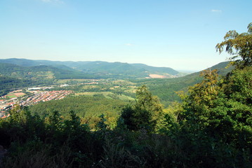 Fototapeta na wymiar Pfälzer Wald bei Annweiler in Rheinland-Pfalz