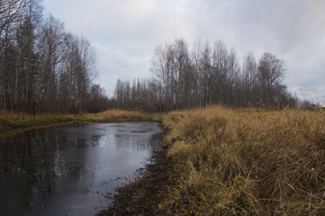 Autumn Autumn leave Water The reflection in the water  Current River Dry grass Autumn day The fall time of the year