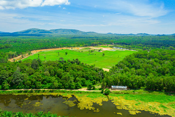 Fototapeta na wymiar Aerial view of natural reservoir with green plants in Chumphon province, Thailand. Aerial landscape of green palm tree in Chumpahon province.