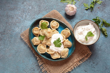 Homemade Meat Dumplings served with sour cream and fresh parsley on plate.Traditional russian food- pelmeni, ravioli