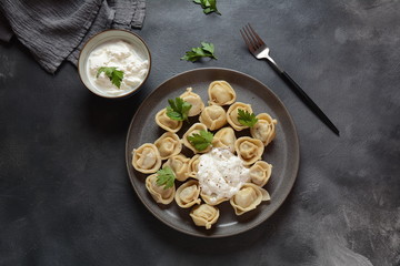Homemade Meat Dumplings served with sour cream and fresh parsley on plate.Traditional Russian food- pelmeni, ravioli