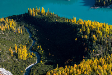 yellow larches and a turquoise colored alpine lake in beautiful autumn colors