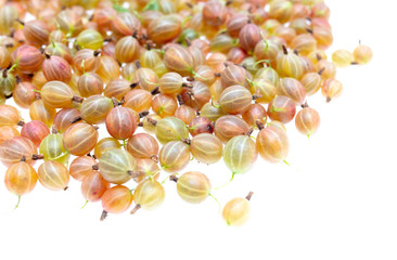 Gooseberry berries isolated on a white background