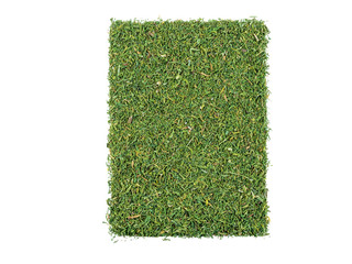 Chopped dill isolated on white background with copy space for text or images. Spices and herbs....