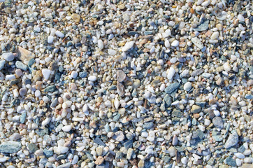 Multicolored small sea pebbles background. Sea shore. - Image