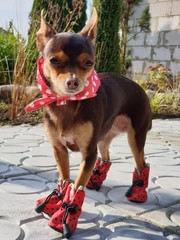 wonderful world around