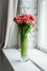 spring pink tulip flowers bouquet on the windowsill