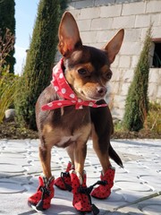 wonderful world around