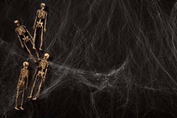 Skeletons in spiderweb on black background with copy space.