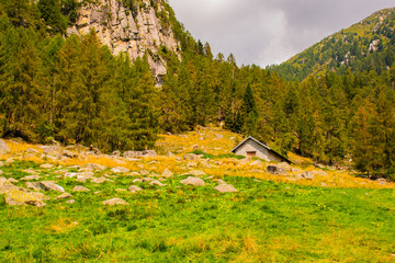 meadows mountains and shelters one