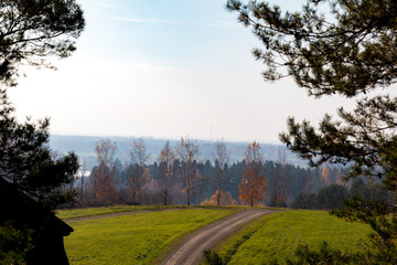 Autumn colours in forest in Latvia, Latgale