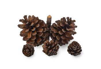 Pine cones on white background.