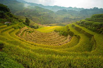 Rice fields on terraced of Mu Cang Chai, YenBai, Vietnam.