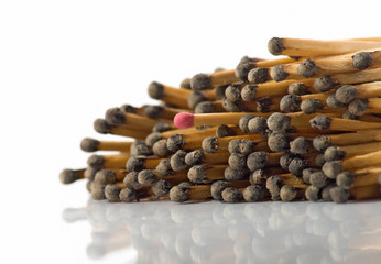 image of one unburnt match in a heap of burnt