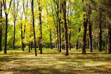 South park in early autumn.