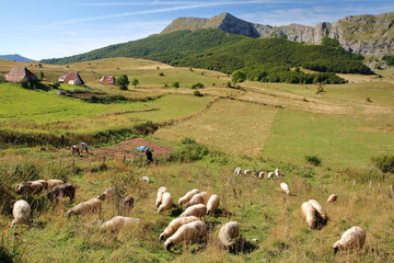 People farming in Gradina, a summer village located in the Bjelasnica mountains and close to Umoljani village, Bosnia and Herzegovina