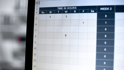 Time management table on computer screen, online visiting log, time in hours