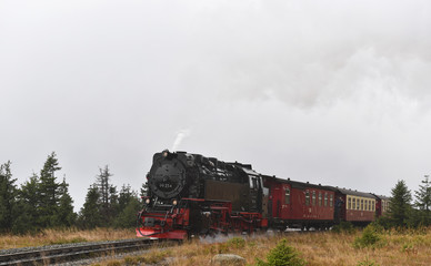 Fototapeta na wymiar Harzer Schmalspurbahn im Nebel
