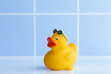 Yellow rubber duck with sunglasses