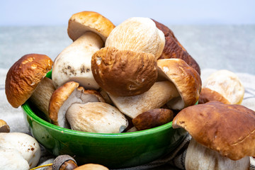 Fresh raw edible forest mushrooms Boletus Edulis or porcini fungus, tasty vegetarian food