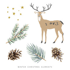 Winter Christmas elements clip art. Deer forest animal, fir, pine twigs, cones, stars, white background. Vector illustration. Nature design for greeting card, poster. Xmas holidays