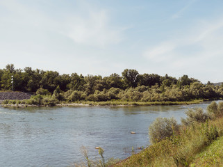 Le Rhin à Weil am Rhein. Au dessus du Vieux-Rhin, face à l'Ile du Rhin, réserve naturelle entre la France et l'Allemagne