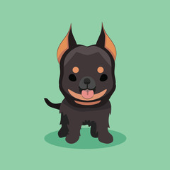 Dog beauceron cartoon vector illustration..