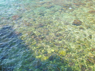Panorama of the rocky bottom of the Adriatic coast through the prism of clear azure seawater.