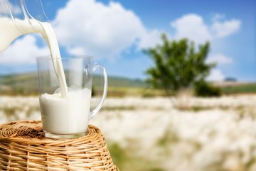 Glass jug of fresh milk  on background