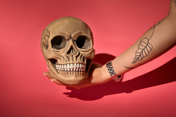 Realistic model of a human skull with teeth on a red background. Medical science or Halloween...