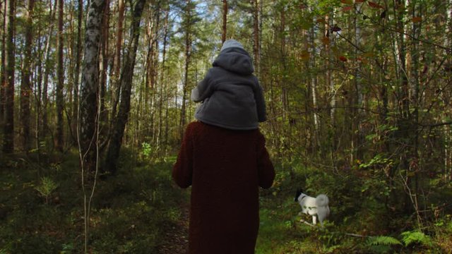 Baby sits on shoulders mother, they walk with dog in autumn forest. Shot behind