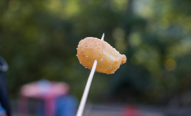 Typical Sardinian fried cheese made with 