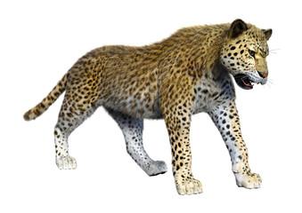 3D Rendering Big Cat Leopard on White