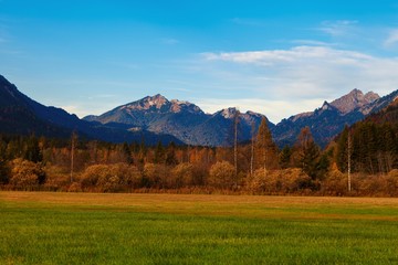 Obraz premium Jesienny las w Alpach na tle górskich szczytów