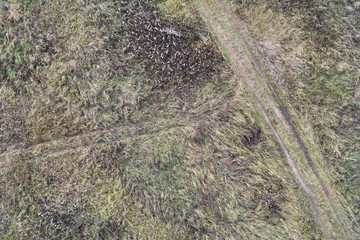 Aerial view with a drone. Rural road with autumn grass