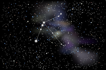 Vector illustration of the constellation Aquila (Eagle) on a starry black sky background. The astronomical cluster of stars in the constellation on the celestial equator and in the milky way © dore art