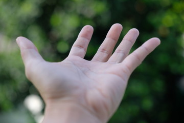 hand on green background